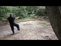 Tai chi chuan. Forma 108. Executor Candu Vladimir.