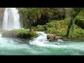 Forest Water Stream Nature Sound | Relaxing Stream Sounds Sleep Meditate Yoga 10 hours
