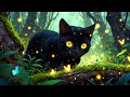 Experience Serenity with a Dreamy Black Cat 🐱  Relax and Unwind to the Calming Lofi Chill Music