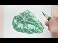 초보자를 위한 색연필로 그리는 무늬가 있는 잎사귀(시클라멘) / Drawing leaves with colored pencils for beginners