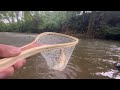 Catching Lots Of Trout In Super Muddy Water With Jerk Bait - 8 / 8 / 2024