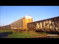 CSX Train Exiting The LIRC Onto The Indiana Sub @ Seymour, Indiana