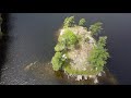 Drone flyover over beautiful crown land in Ontario!