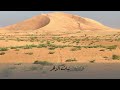 The sands of Ghoneim in the Empty Quarter come back to life after 20 years of drought  | 2023