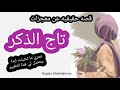 قصه حقيقيه عن معجزات تاج الذكر عمري ما تخيلت ابدا يحصل لي هذا التغيير