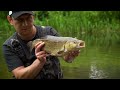 Catch BIG summer chub on lures | Ben Smith Chub fishing