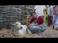 Dasara Movie Making Video | Nani | Keerthy Suresh | Manastars