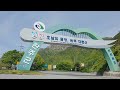 [Drone View] 충남금산 배티재고개 봄풍경 드론영상 기록 1080FHD [Spring view record of Baetijae Pass by Mavic2 Drone]