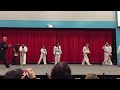 Taekwondo Board Breaking