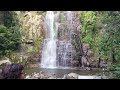 Minnamurra Rainforest Falls   #waterfall  #rainforest #australia #newsouthwales #travel #zen