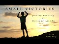 Small Victories - poem by Monique Amado