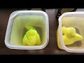 IRL Dino Breeding - Hatching egg - Watch it grow - Toy Unpacking Magic Growing Pet - Just like ARK