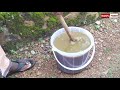 അടുക്കളത്തോട്ടത്തിലെ ഉള്ളികൃഷി | ഒറ്റവീഡിയോയിൽ മുഴുവനായും | Onion Farming easy method | Ulli krishi