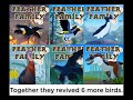 A short summary of the Penguin Family | Feather Family