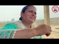 ਕਮਲਾ ਭਰਾ ep 231| new Punjabi Short movie 2024 | Punjabi Natak | Sukhpal Video |@PenduVirsaMansa