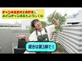 【思い出のやよい軒】ネタを作る2人が若手時代を語る。/ダイアン・ユースケ、石田明(NON STYLE)【ダイアン・ユースケ #2】