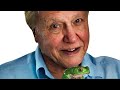 Sir David Attenborough Reveals Why The Frogs Are Turning Gay