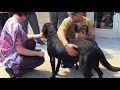 Purple Heart recipient is reunited with military K-9 after 3 years