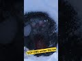 Found SCP 096 Frozen In Ice