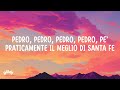 Raffaella Carrà - Pedro (Jaxomy & Agatino Romero Remix)