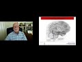 Deficient Emotional Self-Regulation: The Overlooked ADHD Symptom That Impacts Everything (Barkley)