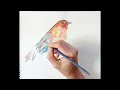 Water colour bird painting|Water colour painting|Step by step