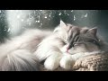 Relax Your Cat - 2 HOURS of Beautiful Piano Music for Cats | Cat Purring Sounds