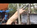 Lantaw Sa Beach,Hindi Maliligo, Maria Ansay Vlog