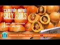 รวมเพลงฮิต เพลงเก่า SILLY FOOLS [ซิลลี่ ฟูลส์] l แกล้ง, คิดถึง, ขี้หึง, วัดใจ l