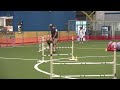 KKAC Agility 100815 Open JWW Rocco