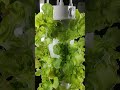 Aeroponic Garden?