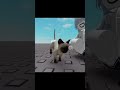 Wow! The cat is very cute :3 #roblox #fyp #shorts #animation