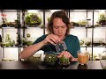 How To Make A Terrarium (The Easiest Way)