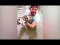 Before & After Animals Growing Up. Amazing Animal Transformation 💥 #short #tiktok #animals