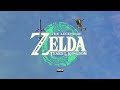 Est-il réellement mauvais ? (pas tout à fait) Zelda Tears of the Kingdom - Critique de Jeux Vidéo #9