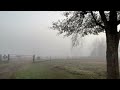 Fog Central Texas