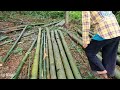 A stranger came to help her single mother move and build a new bamboo house \ lý hiền