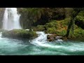 forest Sounds - Water Sound Nature Meditation - birds