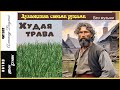 И. Бунин. Худая трава (без муз) - чит. Александр Водяной