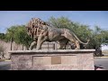 Wildlife Museum • Tucson Arizona • Mike Carano