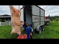 New Zealand mobile butcher