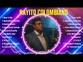 Greatest Hits Rayito Colombiano álbum completo 2024 ~ Mejores artistas para escuchar 2024