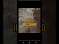 el club del insomnio/ un minuto una canción black & dengue