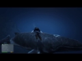 Grand Theft Auto V Humpback Whale Encounter