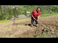 How a young man lives in the mountains in a large family. Planting potatoes