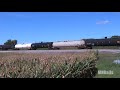 Wheeling & Lake Erie Railway | EMD SD40-2 Tigers