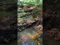 Another calming video