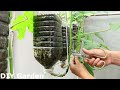 How to grow okra hanging upside down in plastic bottles without a garden
