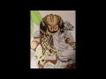 Drawing Predator