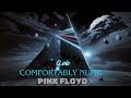 The Great Pink Floyd-Comfortably Numb-AiCover by G.vic@pinkfloyd